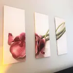 Elegant Georgian Apartment Near Clifton Village